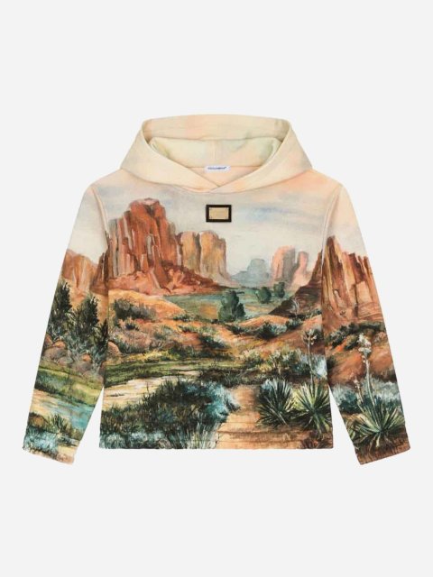 Бежевое худи DOLCE&GABBANA с принтом и металлической пластиной с логотипом: фото - Invogue