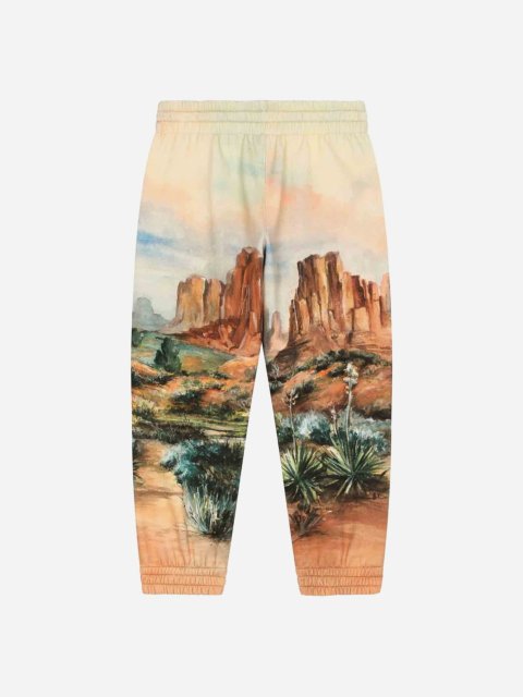 Бежеві штани DOLCE&GABBANA з принтом та кишенями: фото 1 - Invogue