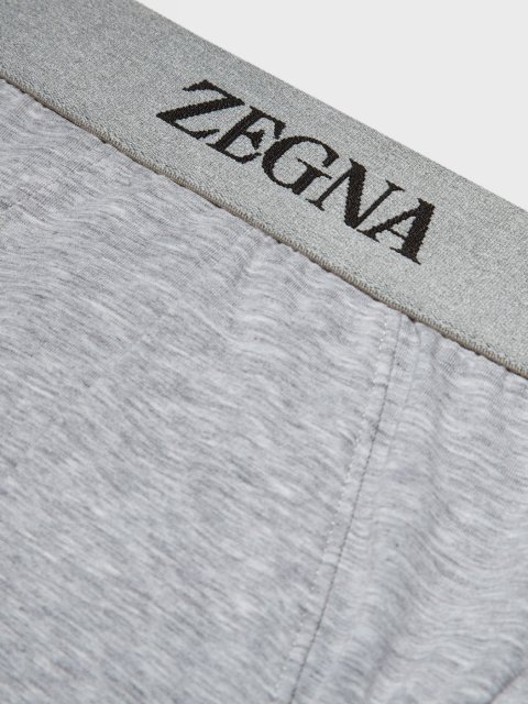 Сірі труси-бріфи ZEGNA з логотипом: фото 1 - Invogue