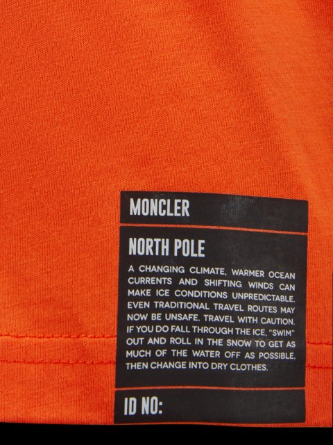 Футболка Moncler (30684): фото 3 - Invogue
