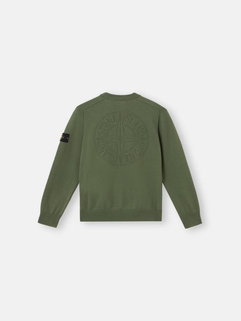 Зеленый свитшот STONE ISLAND из органического хлопка: фото 1 - Invogue