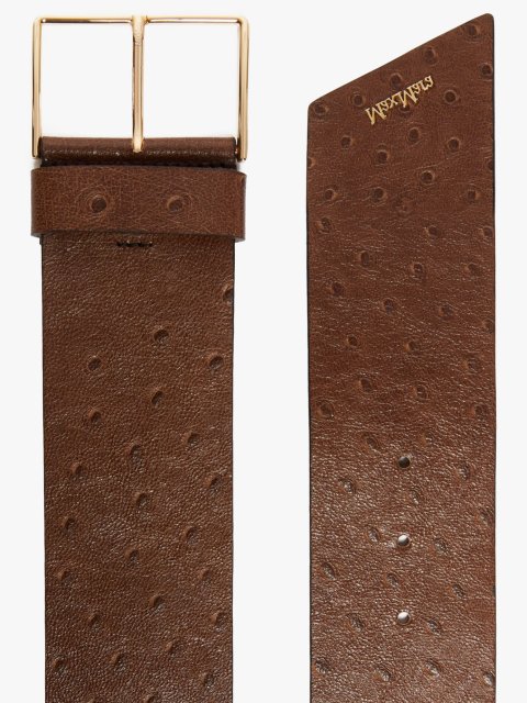 Коричневий ремінь MAX MARA : фото 1 - Invogue