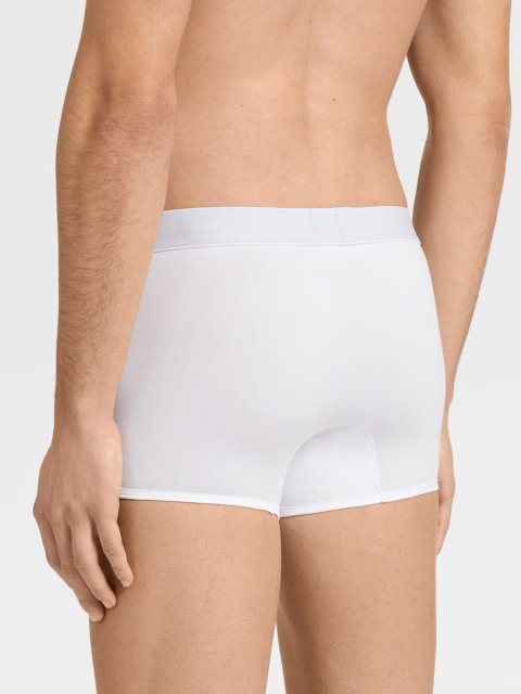 Боксери ZEGNA (63018): фото 2 - Invogue