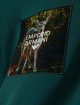 Зелёная кофта EMPORIO ARMANI KIDS из хлопка: фото 1 - Invogue