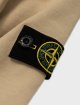 Кофта, шорти Stone Island (79192): фото 3 - Invogue