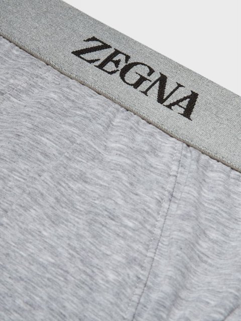 Сірі труси-бріфи ZEGNA з логотипом: фото 1 - Invogue