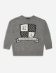 Сірий джемпер Emporio Armani з логотипом: фото - Invogue