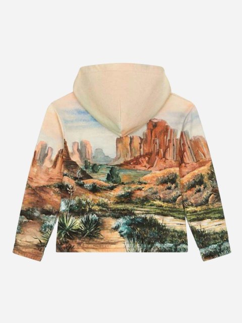 Бежевое худи DOLCE&GABBANA с принтом и металлической пластиной с логотипом: фото 1 - Invogue