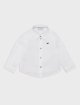 Белая рубашка EMPORIO ARMANI KIDS из хлопка: фото - Invogue