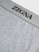 Сірі труси-бріфи ZEGNA з логотипом: фото 1 - Invogue