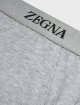 Сірі труси-бріфи ZEGNA з логотипом: фото 1 - Invogue